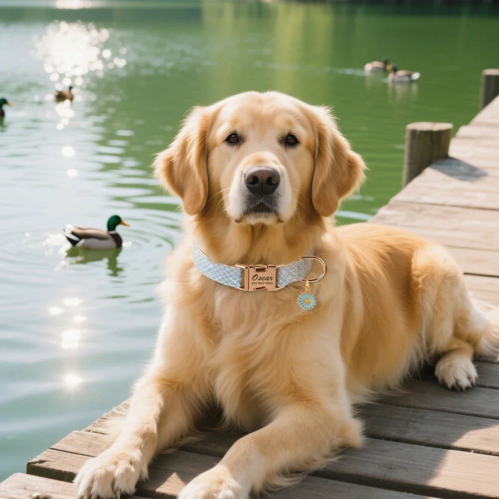 Custom Dog Collar Bling with Free Engraving