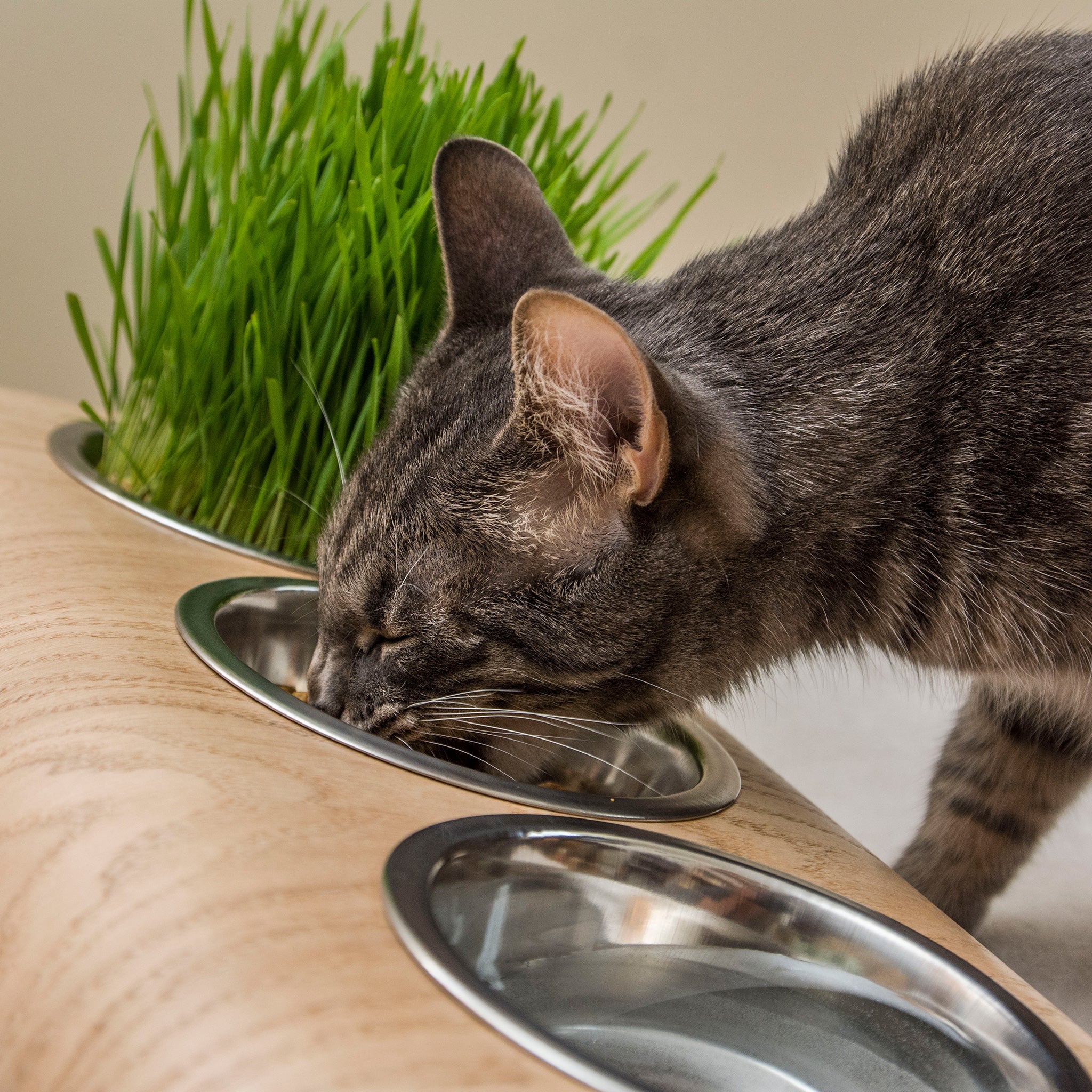 Elevated Dog Bowl Stand - Wooden 3-Bowl Raised Feeder for Cats & Dogs